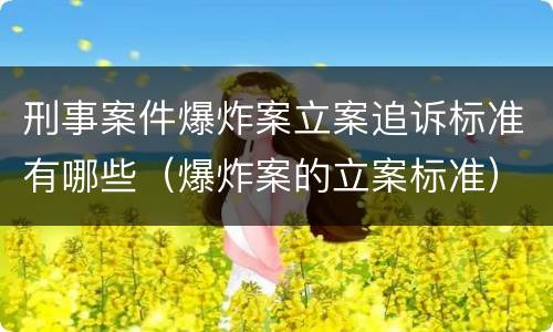 刑事案件爆炸案立案追诉标准有哪些（爆炸案的立案标准）