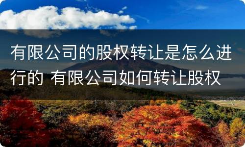 有限公司的股权转让是怎么进行的 有限公司如何转让股权