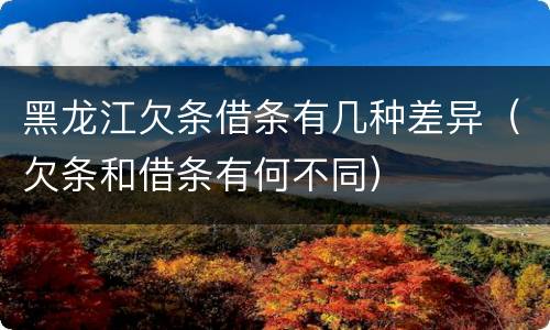 黑龙江欠条借条有几种差异（欠条和借条有何不同）