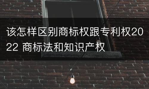 该怎样区别商标权跟专利权2022 商标法和知识产权