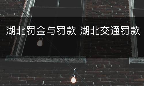 湖北罚金与罚款 湖北交通罚款