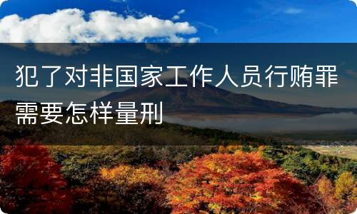 犯了对非国家工作人员行贿罪需要怎样量刑