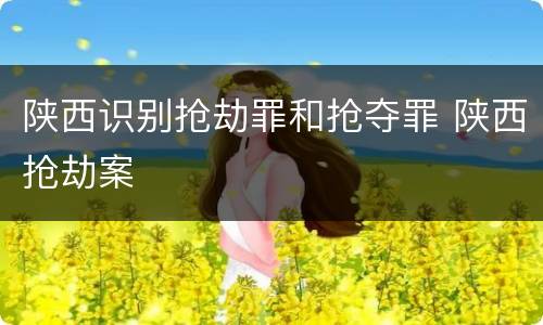 陕西识别抢劫罪和抢夺罪 陕西抢劫案