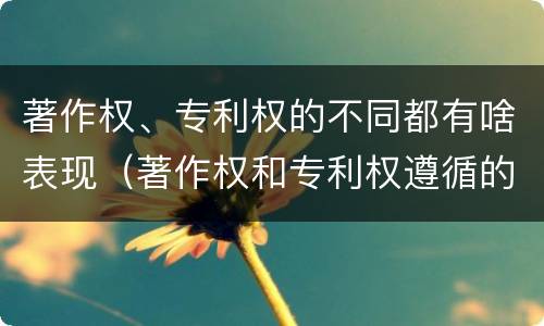 著作权、专利权的不同都有啥表现（著作权和专利权遵循的理念）