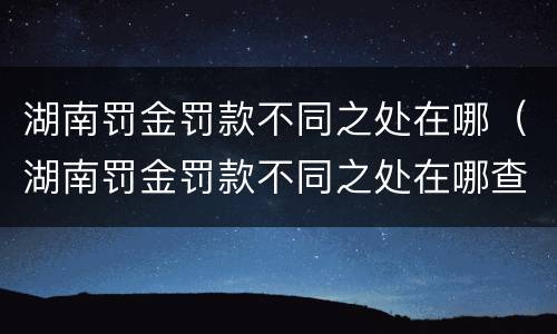 湖南罚金罚款不同之处在哪（湖南罚金罚款不同之处在哪查询）