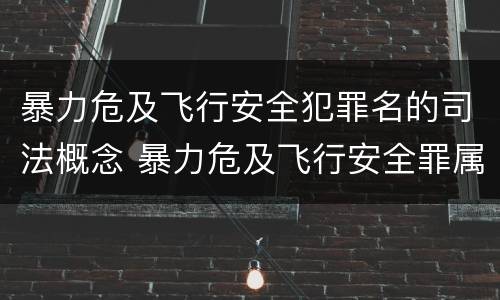 暴力危及飞行安全犯罪名的司法概念 暴力危及飞行安全罪属于什么犯
