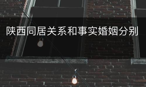 陕西同居关系和事实婚姻分别