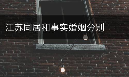 江苏同居和事实婚姻分别