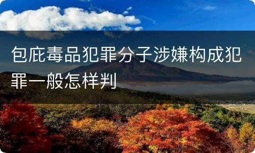 包庇毒品犯罪分子涉嫌构成犯罪一般怎样判