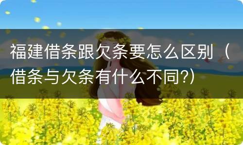 福建借条跟欠条要怎么区别（借条与欠条有什么不同?）