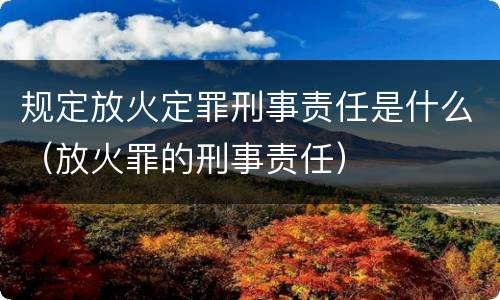 规定放火定罪刑事责任是什么（放火罪的刑事责任）
