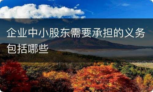 企业中小股东需要承担的义务包括哪些