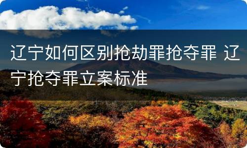 辽宁如何区别抢劫罪抢夺罪 辽宁抢夺罪立案标准