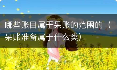 哪些账目属于呆账的范围的（呆账准备属于什么类）