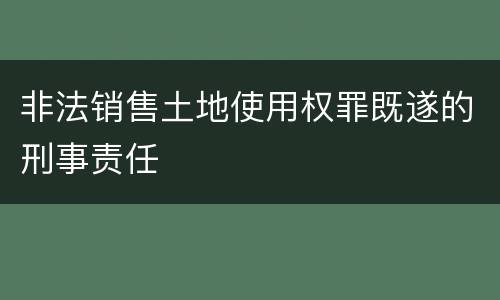 非法销售土地使用权罪既遂的刑事责任