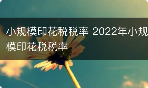 小规模印花税税率 2022年小规模印花税税率
