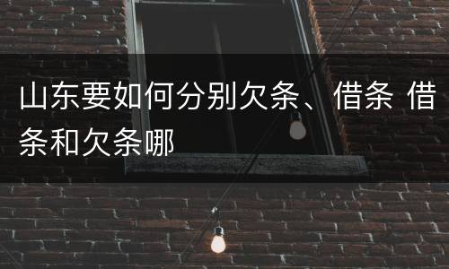 山东要如何分别欠条、借条 借条和欠条哪