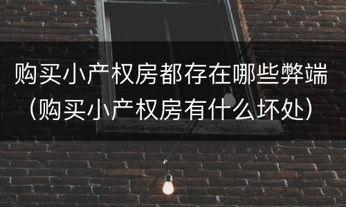 购买小产权房都存在哪些弊端（购买小产权房有什么坏处）