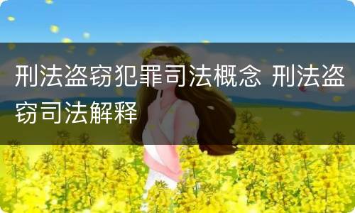 刑法盗窃犯罪司法概念 刑法盗窃司法解释