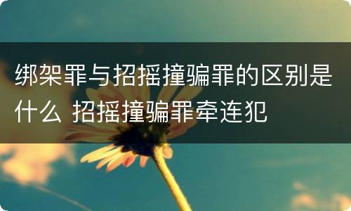 绑架罪与招摇撞骗罪的区别是什么 招摇撞骗罪牵连犯