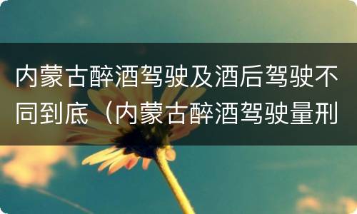 内蒙古醉酒驾驶及酒后驾驶不同到底（内蒙古醉酒驾驶量刑标准）