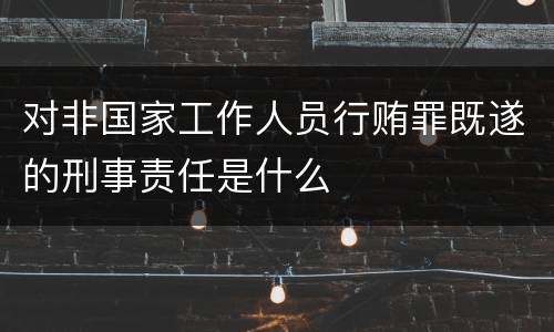 对非国家工作人员行贿罪既遂的刑事责任是什么