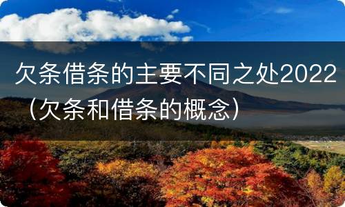 欠条借条的主要不同之处2022（欠条和借条的概念）