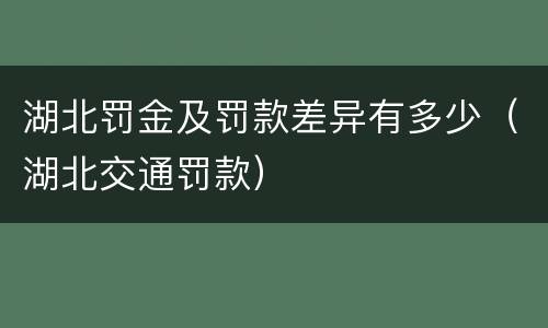 湖北罚金及罚款差异有多少（湖北交通罚款）