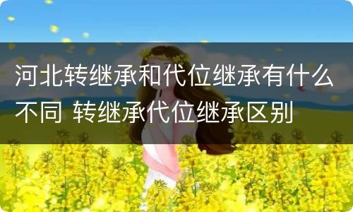 河北转继承和代位继承有什么不同 转继承代位继承区别