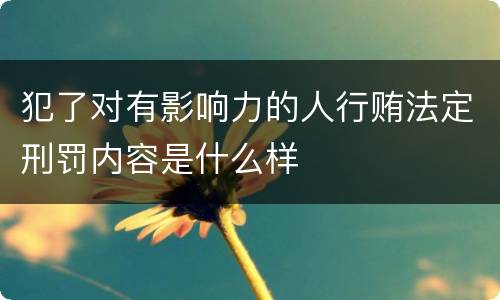 犯了对有影响力的人行贿法定刑罚内容是什么样