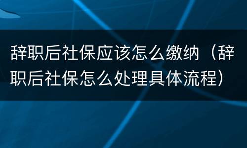 辞职后社保应该怎么缴纳（辞职后社保怎么处理具体流程）