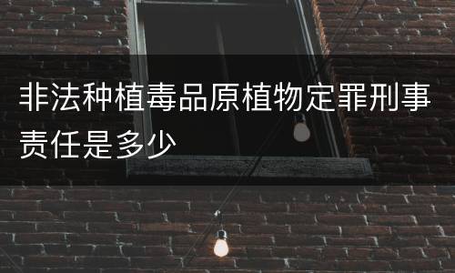 非法种植毒品原植物定罪刑事责任是多少