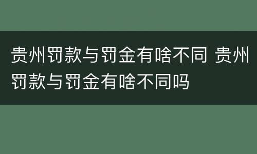 贵州罚款与罚金有啥不同 贵州罚款与罚金有啥不同吗