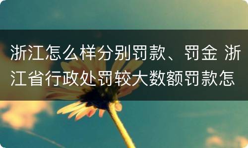 浙江怎么样分别罚款、罚金 浙江省行政处罚较大数额罚款怎么界定