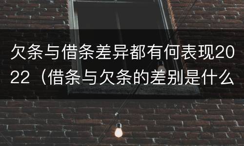 欠条与借条差异都有何表现2022（借条与欠条的差别是什么）