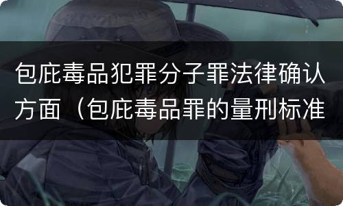 包庇毒品犯罪分子罪法律确认方面（包庇毒品罪的量刑标准）