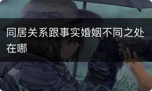 同居关系跟事实婚姻不同之处在哪