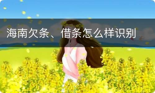 海南欠条、借条怎么样识别