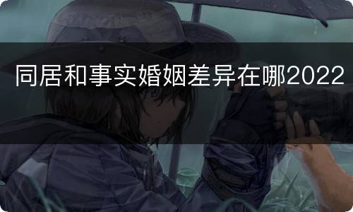 同居和事实婚姻差异在哪2022
