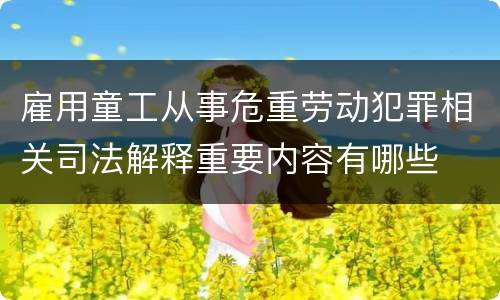 雇用童工从事危重劳动犯罪相关司法解释重要内容有哪些