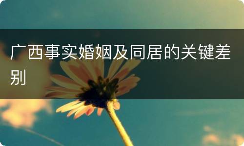 广西事实婚姻及同居的关键差别