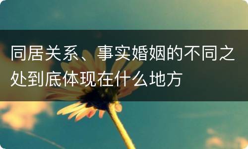 同居关系、事实婚姻的不同之处到底体现在什么地方
