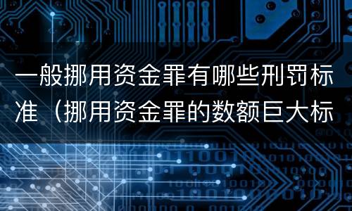 一般挪用资金罪有哪些刑罚标准（挪用资金罪的数额巨大标准）