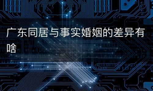 广东同居与事实婚姻的差异有啥