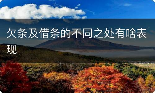 欠条及借条的不同之处有啥表现