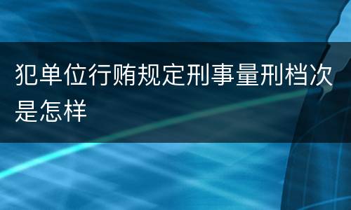 犯单位行贿规定刑事量刑档次是怎样