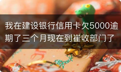 我在建设银行信用卡欠5000逾期了三个月现在到崔收部门了他们要起诉我应该怎么办
