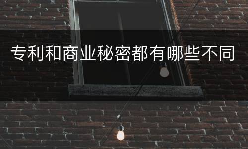 专利和商业秘密都有哪些不同