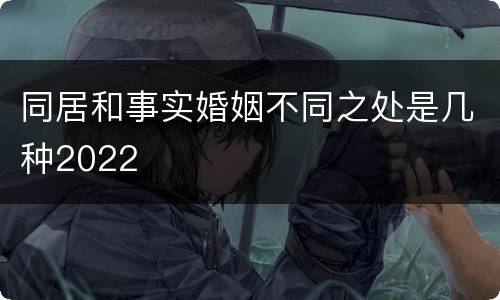 同居和事实婚姻不同之处是几种2022