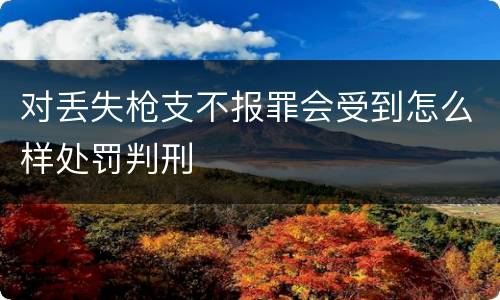 对丢失枪支不报罪会受到怎么样处罚判刑